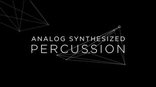 ANALOG SYNTHESIZED PERCUSSION [upl. by Renner517]