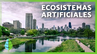 Los ECOSISTEMAS ARTIFICIALES 🌇 Características TIPOS de Ecosistemas Artificiales y Ejemplos [upl. by Neitsirk]