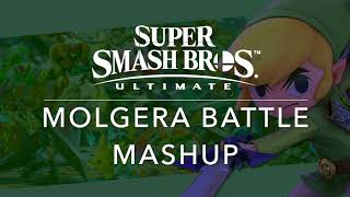 SSBU Molgera Battle Mashup Wind WakerSSBU [upl. by Iretak812]