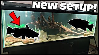 125 Gallon Fish Tank Setup Freshwater NATIVE FISH Aquarium Build [upl. by Youlton365]