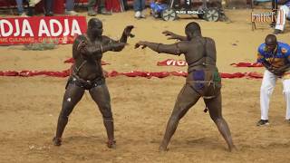 Combat Balla Gaye 2 vs Tapha Tine  reportage Lamine Seck Tapha Gueye Palla et Mansour Diop [upl. by Etnohs]