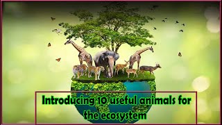 Introducing 10 useful animals for the ecosysteminformation ai [upl. by Yadsnil]