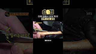 습팁📌 게 포크 없이 집에서 손쉽게 먹을 수 있는 대게 손질 방법 대방출😋  생활의 달인  SBS [upl. by Uria]