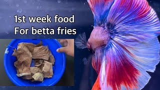 Infusoria culture  1st week food for betta fry Betta fish [upl. by Elonore]