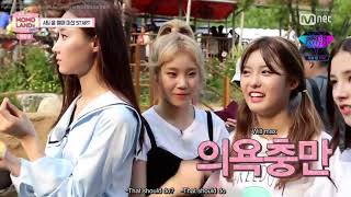 ENG Arcade Safari and Water sled missions Finding Momoland 34 [upl. by Haveman]