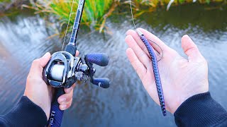 Catch 10x MORE Bass  TRY THIS Bass Fishing Tips [upl. by Stoddard]