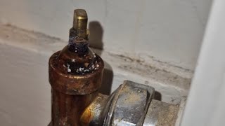 Leaking radiator valve 1 Minute Fix [upl. by Nida]