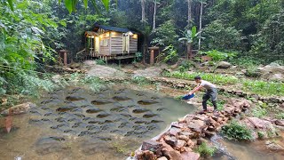 Build streams into ponds stock fish harvest fish for smoking 2 Year Off Grid Cabin in Forest [upl. by Hasheem941]