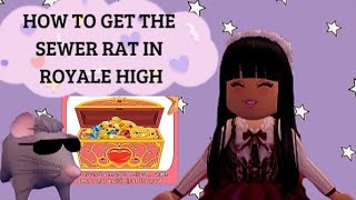 HOW TO GET THE SEWER RAT IN ROYALE HIGH  CHEST LOCATION🐀💰✨ [upl. by Iral]