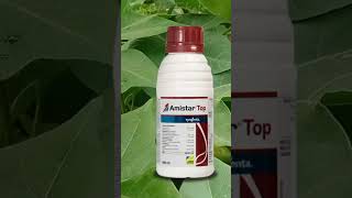 Amistar Top Syngenta Fungicide  Amistar Top संपूर्ण माहिती  वापर डोस उपयोग आणि फायदे agriculture [upl. by Accissej972]