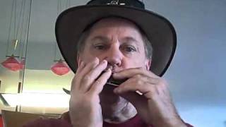 Chromatic vs Diatonic harmonica Gary Lehmann [upl. by Nuahsor]