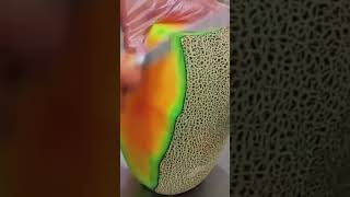 MUSKMELON CUTTING SKILLSnature cuttingskills trending trend trendingshorts india indian [upl. by Genaro]