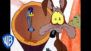 Looney Tunes  Ready Set Catch the Roadrunner  Classic Cartoon  WB Kids [upl. by Casimir]