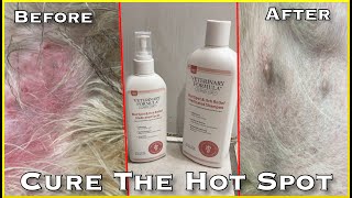 Cure The Hot Spot On Your Dog Stop The Itch  Veterinary Clinical Care Hot Spot Spray Shampoo Review [upl. by Ahcsap795]