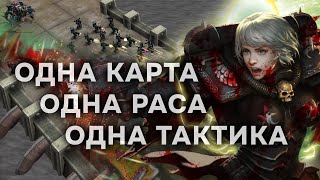 Хаос против Сестры ЗАДРОТА ► Dawn of War  Soulstorm [upl. by Leontyne]