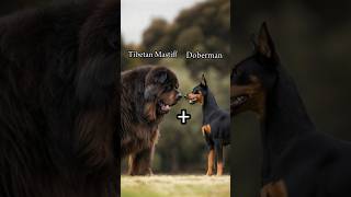 dog crossbreeding animal viralshort [upl. by Kroo]