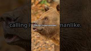 🧸The Surprising Origin of Teddy Bears 🐻shorts viral theodoreroosevelt teddybears funfacts [upl. by Glori788]