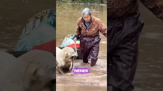 😻Teman Setia Nenek Selalu Siap Membantu [upl. by Tobey]