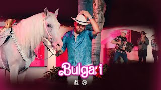 Los Gemelos De Sinaloa  Bulgari En Vivo [upl. by Amzaj]