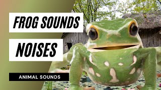 Frog Sounds Noises  sound of frogs frog sound for relaxation and sleep nature sounds [upl. by Abrahan]