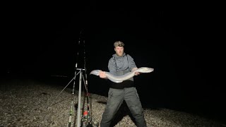 🔴 SEA FISHING UK  Selsey East Beach 🔴 [upl. by Kearney]