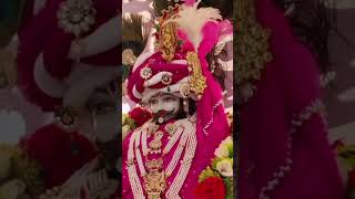 Jis ki Kalai tham li usko kesa dar 🙏🌹🌹🌹🥰🥰shyam bhajankhatushyam bhakti song [upl. by Yuh]