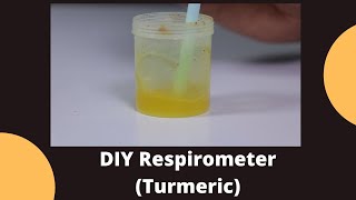 DIY Respirometer Turmeric  Class 10 Science Lab Experiment [upl. by Reave7]