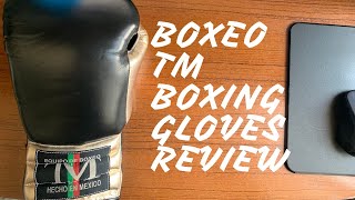 Boxeo TM Torres Medina Boxing Gloves Review  Possibly Best Mexican Gloves Ever [upl. by Alleuqcaj]