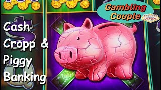 Haben wir Schwein am Piggy Bankin´ oder Cash Cropp [upl. by Annoiek]