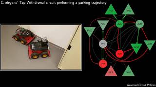 A neuronal Circuit Policy for parking a mobile rover [upl. by Anyehs]