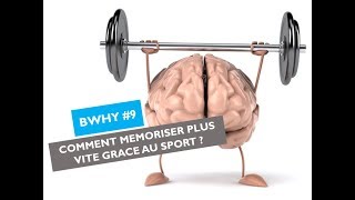 COMMENT MÉMORISER PLUS VITE AVEC LE SPORT  BrainWhy 9 [upl. by Annahsal]