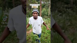 wachaga tujuane sasa apa wachaga arushatanzania comedy funny january standupcomedy [upl. by Ximena]