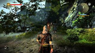 Lets Play The Witcher 2 Teil 6 HD [upl. by Ravel]