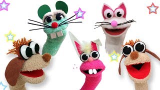 How to make Animal sock puppets  Ana  DIY Crafts [upl. by Clareta]