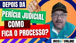 QUANDO PASSA NA PERÍCIA JUDICIAL O PROCESSO ACABA QUANTO TEMPO DEPOIS DA PERÍCIA O JUIZ DA SENTENÇA [upl. by Otipaga]