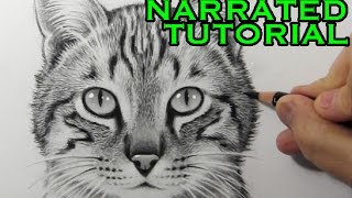 How to Draw a Cat Narrated StepbyStep Tutorial [upl. by Niac]