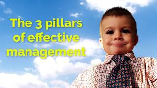 Effective Management  3 Pillars of Success  Be a better Manager [upl. by Llerrot]