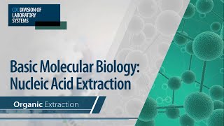 Basic Molecular Biology Nucleic Acid Extraction – Organic Extraction [upl. by Berke76]