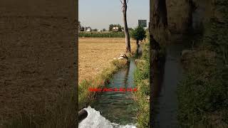 Water Flow amp My Farm [upl. by Kristos]