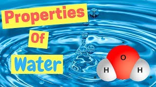 Properties of Water  Polarity  Hydrogen Bonds  Adhesion amp Cohesion [upl. by Ttezzil]