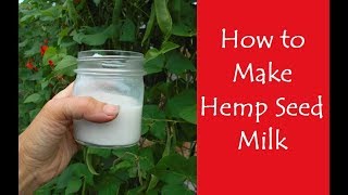 How to Make Hemp Seed Milk and other Nut or Seed Milks [upl. by Atsuj219]