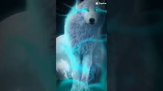 PLAIN JAINE wolf virelshorts edit wolfe [upl. by Akinert249]