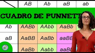 Ejercicio genética con dos genes 🧬 Codominancia I [upl. by Henleigh691]