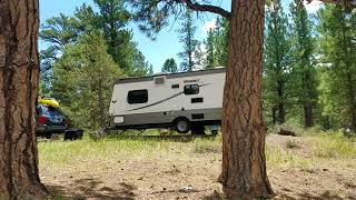 Panguitch Lake Campground north side [upl. by Stahl]