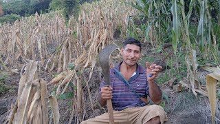 Preparandonos para La dobla de la milpa con Ramboo🌾 [upl. by Llehcnom]