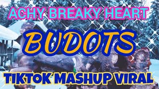 ACHY BREAKY HEART  TikTok Mashup  Budots Dance Remix [upl. by Wallford]