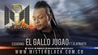 El Gallo Jugao  Mr Black Ft El Afinaito ® [upl. by Aysan]