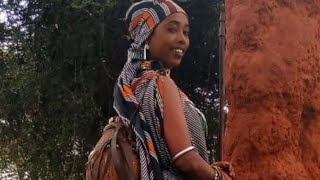 New BORANA OROMO Music2019 by GORDO DALACHAFaaruu Loonii [upl. by Crichton370]