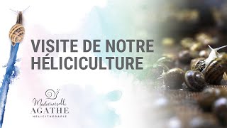 Comment sont produits les cosmétiques Bio à base de bave descargot [upl. by Luba]