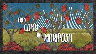 Maná amp Alejandro Fernández  Mariposa Traicionera Lyric Video [upl. by Gilliette766]